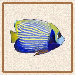 Icon for Imperator Angelfish