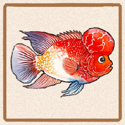 Icon for Rajah Cichlasoma