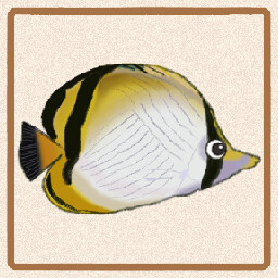 Icon for Vagabond Butterflyfish