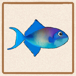 Icon for Niger Triggerfish