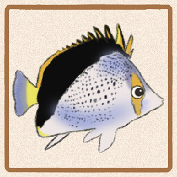 Icon for Tinkeri Butterflyfish