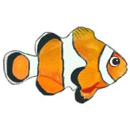 Icon for Clown fish