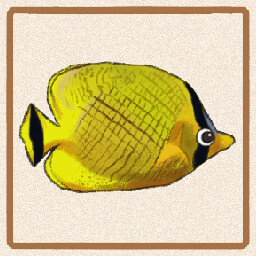 Icon for Latticed Butterflyfish