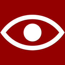 Someone Is Watching You