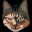 MeowWare icon