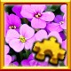 Icon for Purple Flowers Complete!