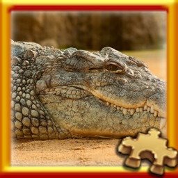 PUZZLE COMPLETE!
