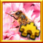 Icon for Bee Complete!