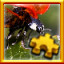 Icon for Lady Bug Complete!