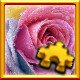 Icon for Rose Complete!