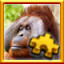 Icon for Orangutan Complete!