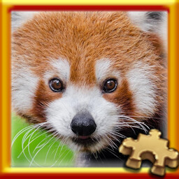 Red Panda Complete!