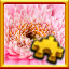 Icon for Gerbera Complete!