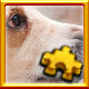 Icon for Getting Treats Complete!