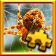 Icon for Spider Complete!