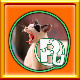 Icon for All Cats 2 Puzzles Complete!