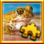 Icon for Frog Complete!