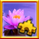 Icon for Lotus Complete!