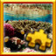 Icon for Shallow Reef Complete!