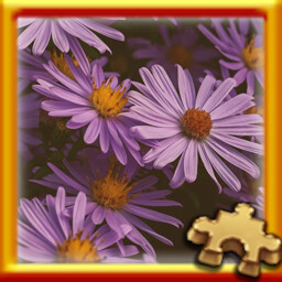 PUZZLE COMPLETE!