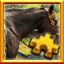 Icon for Horse Complete!