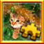 Icon for Cat In The Tree Complete!