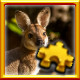Icon for Wallaby Complete!