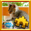 Icon for Kitten Complete!