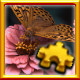 Icon for Butterfly Complete!