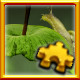 Icon for Snail Complete!
