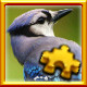 Icon for Bird Complete!