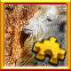 Icon for Goat Complete!