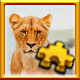 Icon for Lion Complete!