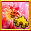 Icon for Chrysanthemum Complete!