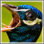 Icon for Kiosk Item Unlocked: Bird