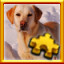 Icon for Labrador Complete!