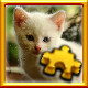 Icon for Kitten Complete!