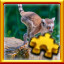 Icon for Lemur Complete!