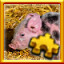 Icon for Piglets Complete!