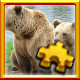 Icon for Bears Complete!