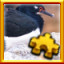 Icon for Phalacrocorax Complete!
