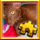 Icon for Feeding Kittens Complete!
