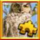 Icon for Owl Complete!