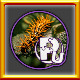 Icon for All Variety Pack 6XS Puzzles Complete!