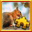 Icon for Squirrel Complete!