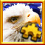 Icon for Eagle Flag Complete!