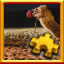 Icon for Camel Complete!