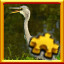 Icon for Happy Bird Complete!