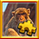 Icon for Monkey Complete!