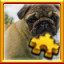 Icon for Pug Complete!